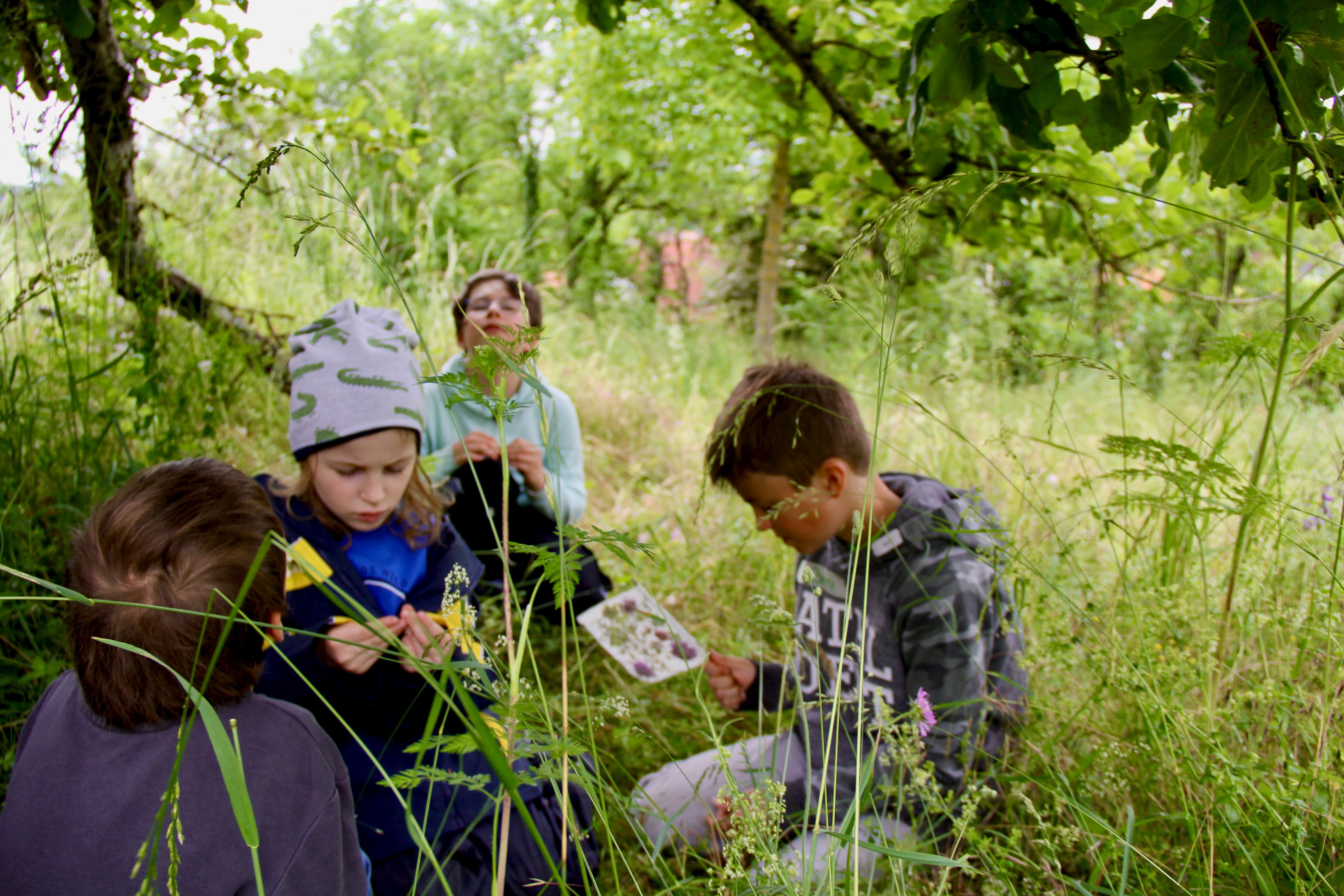 Kinder entdecken den Lebensraum Streuobstwiese. Foto: Stephanie Fleiner