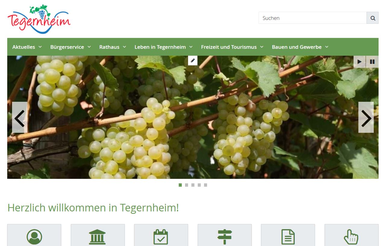 Internet Seite Gemeinde Tegernheim