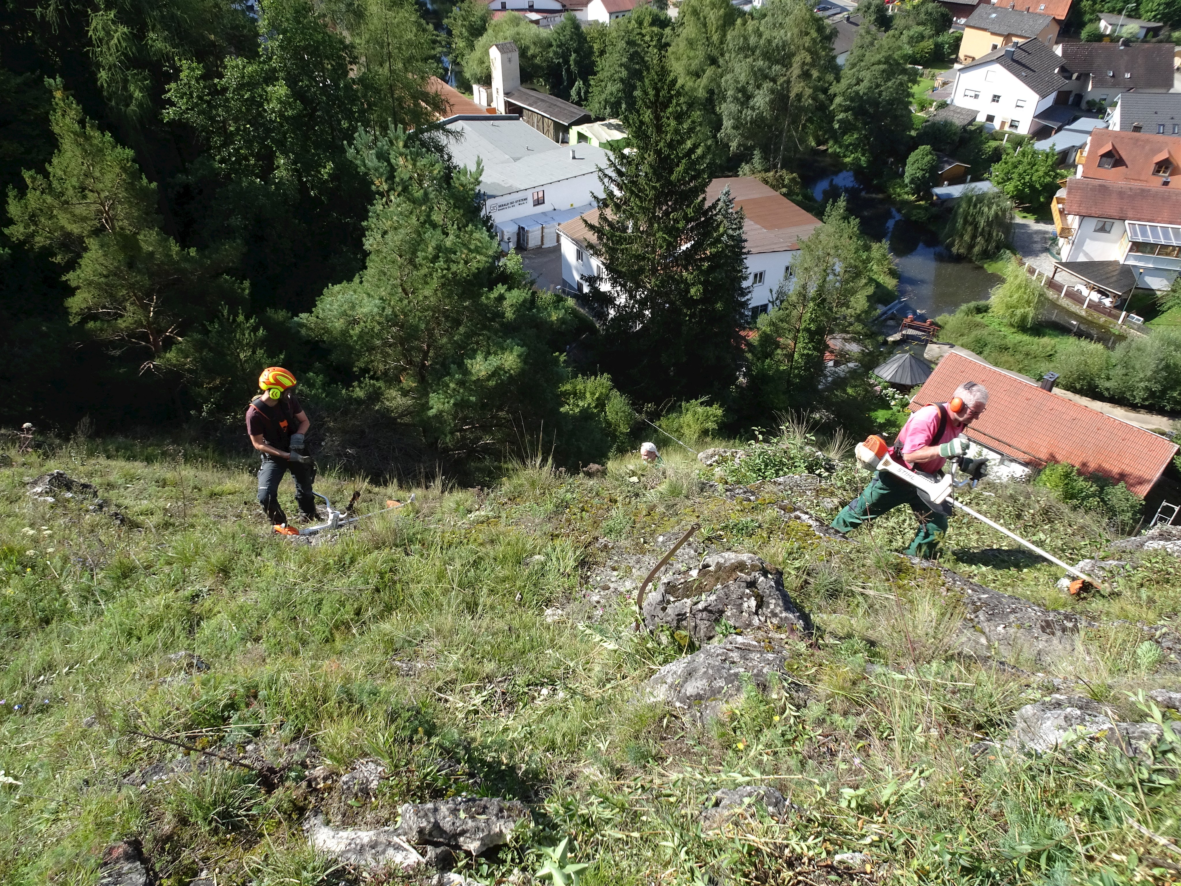 Landschaftspflege in steilen Lagen – wertvoller Magerrasen bei Schönhofen. Foto: Heidrun Waidele