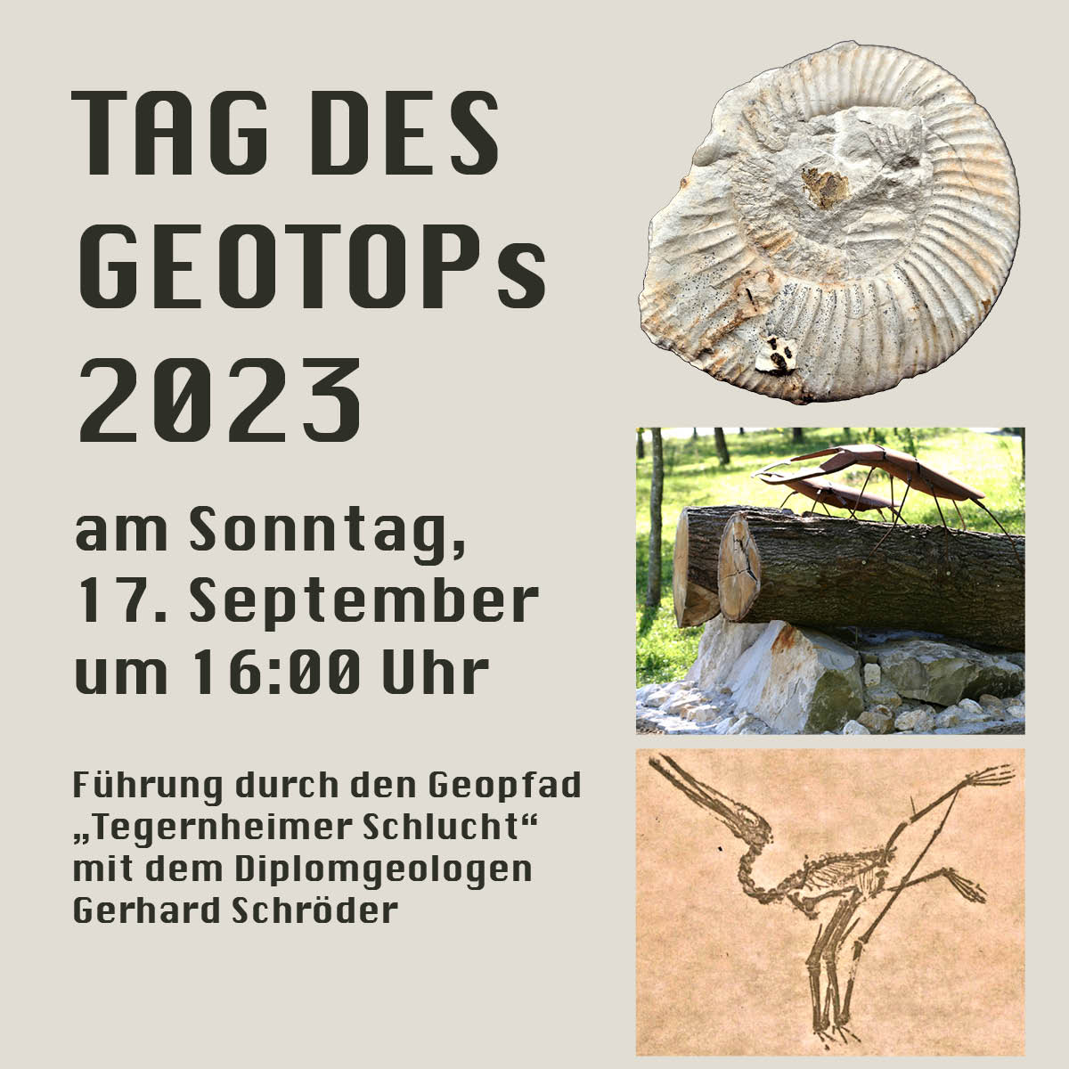Flyer - Tag des Geotop's